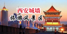 出肏幼鲍中国陕西-西安城墙旅游风景区